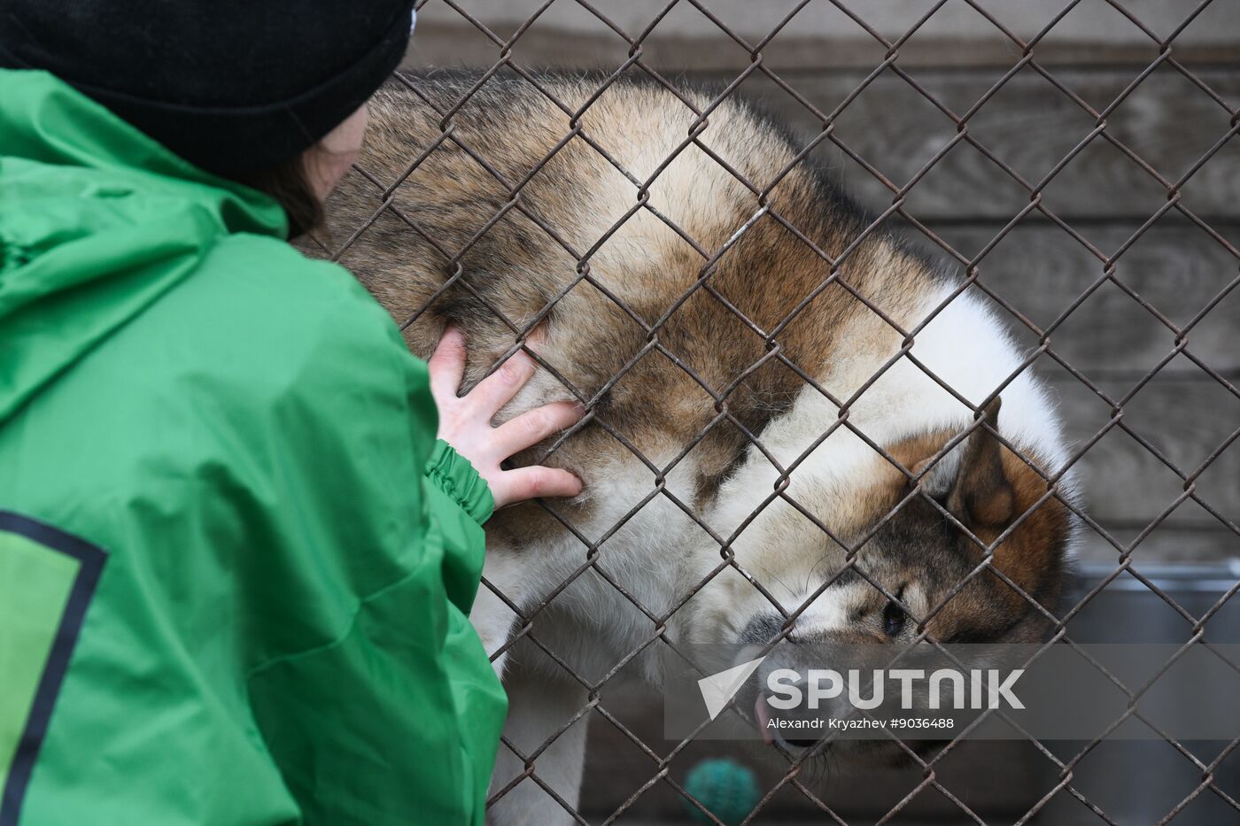 Russia Animal Protection Fund