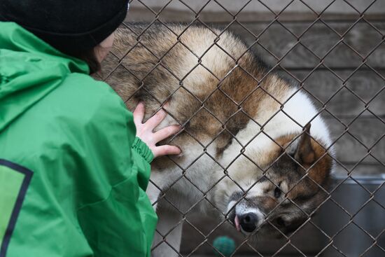 Russia Animal Protection Fund