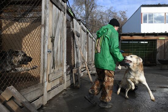 Russia Animal Protection Fund