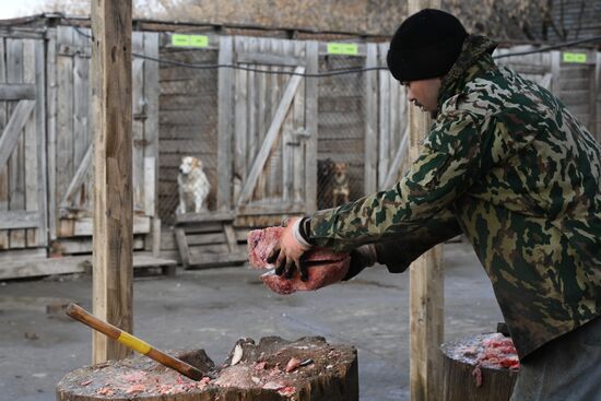 Russia Animal Protection Fund