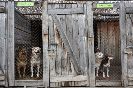 Russia Animal Protection Fund