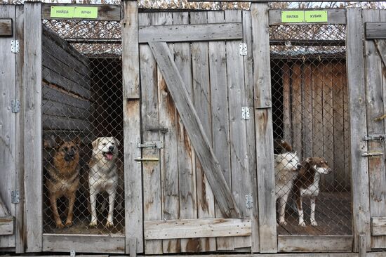 Russia Animal Protection Fund