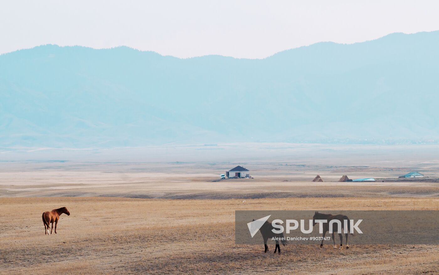 Kazakhstan Daily Life