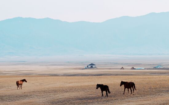 Kazakhstan Daily Life