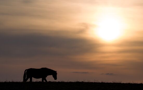 Kazakhstan Daily Life