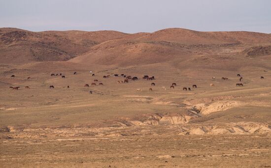 Kazakhstan Daily Life