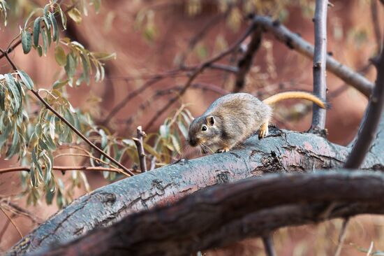 Kazakhstan Daily Life