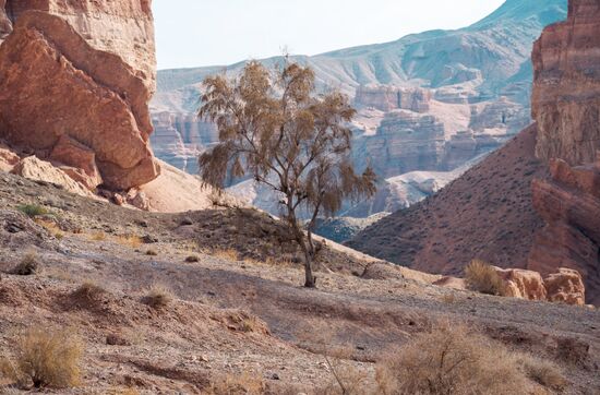 Kazakhstan Daily Life