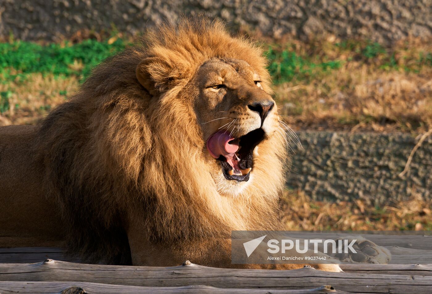 Kazakhstan Daily Life