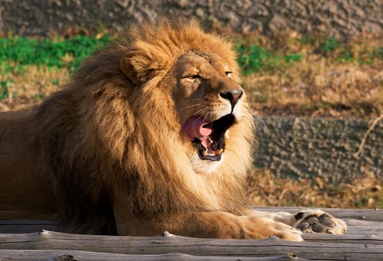 Kazakhstan Daily Life