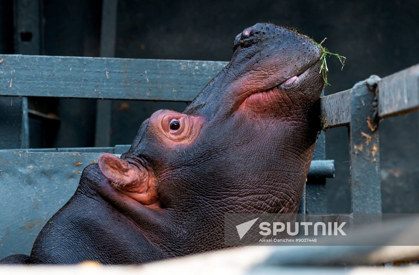Kazakhstan Daily Life
