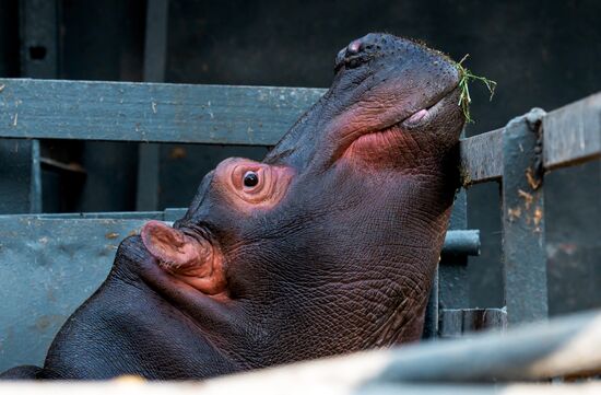 Kazakhstan Daily Life