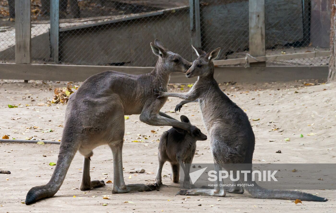 Kazakhstan Daily Life
