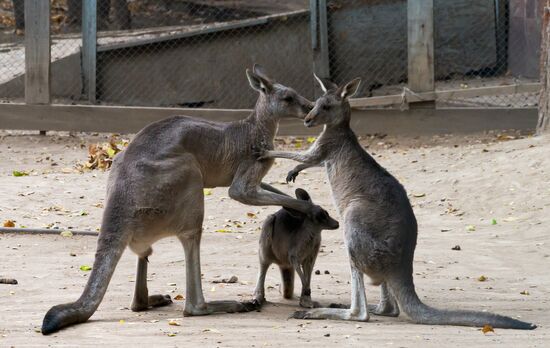 Kazakhstan Daily Life