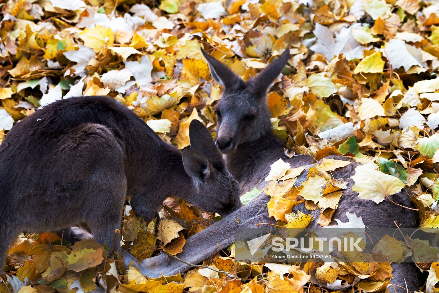 Kazakhstan Daily Life