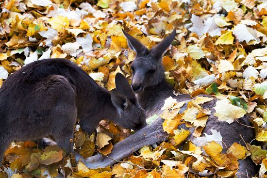 Kazakhstan Daily Life