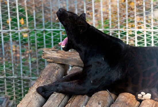 Kazakhstan Daily Life