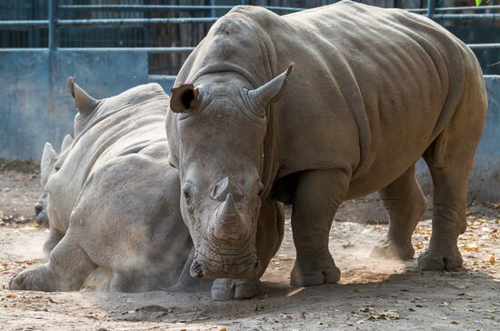 Kazakhstan Daily Life