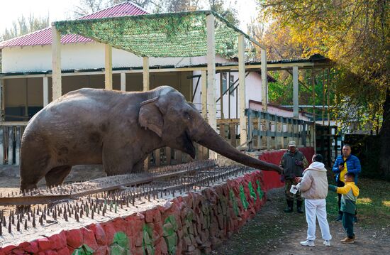 Kazakhstan Daily Life