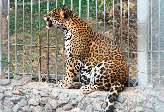 Kazakhstan Daily Life