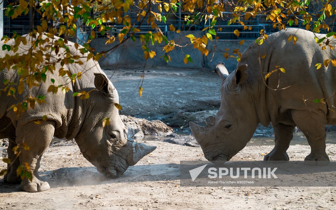 Kazakhstan Daily Life