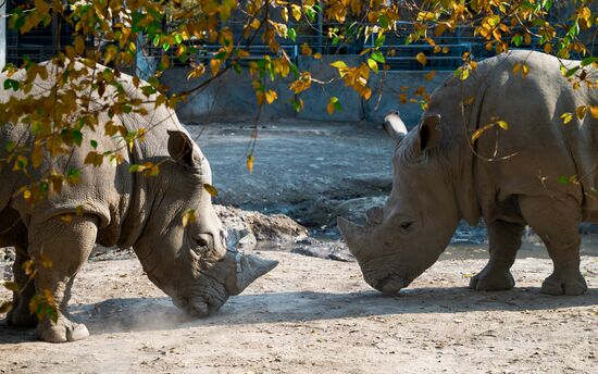 Kazakhstan Daily Life
