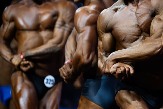 Russia Bodybuilding Championships