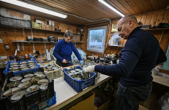 Russia Military Production