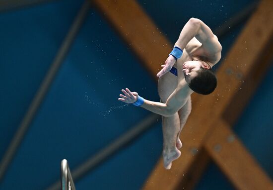 Russia Diving Tatarstan Head Cup