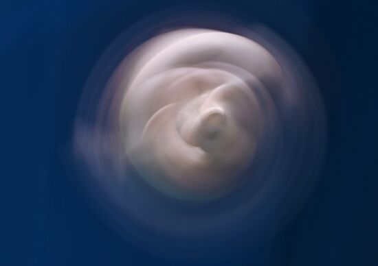 Russia Diving Tatarstan Head Cup