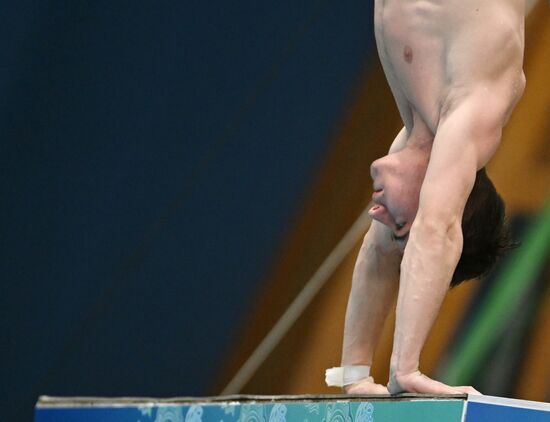 Russia Diving Tatarstan Head Cup