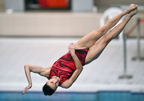 Russia Diving Tatarstan Head Cup