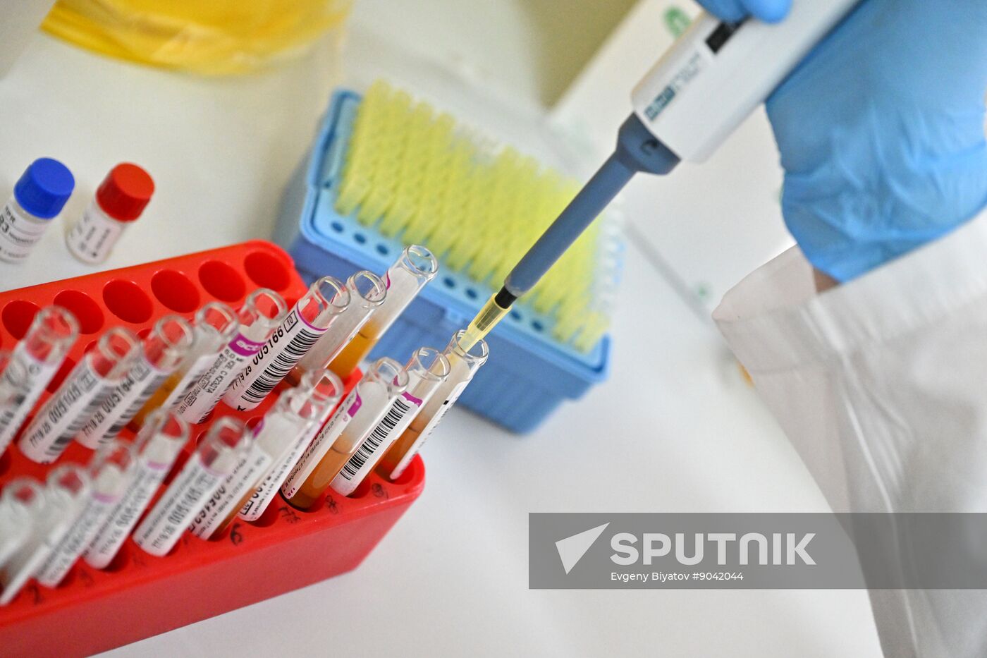 Russia Education Pirogov Medical University