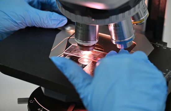 Russia Education Pirogov Medical University