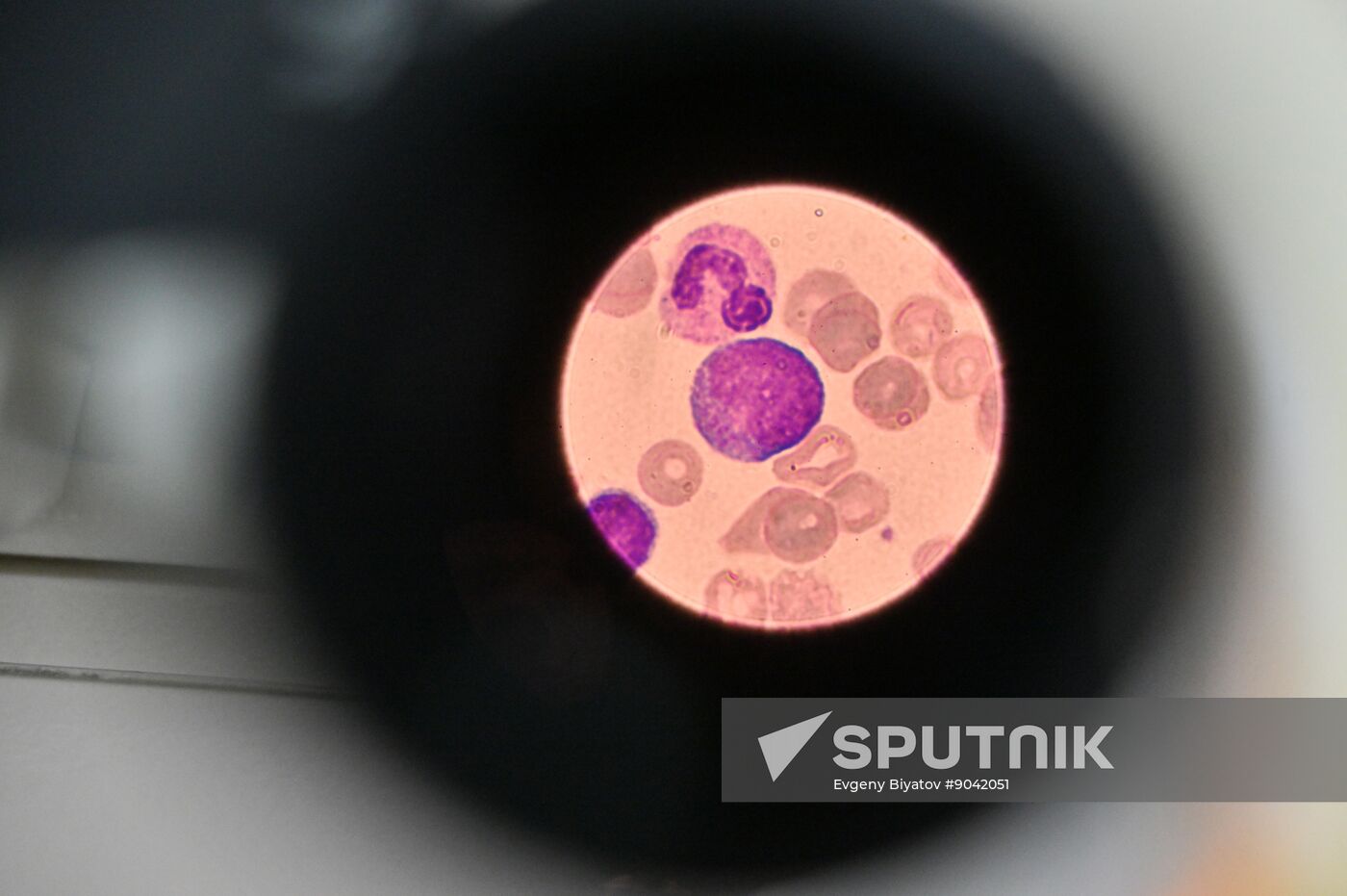 Russia Education Pirogov Medical University