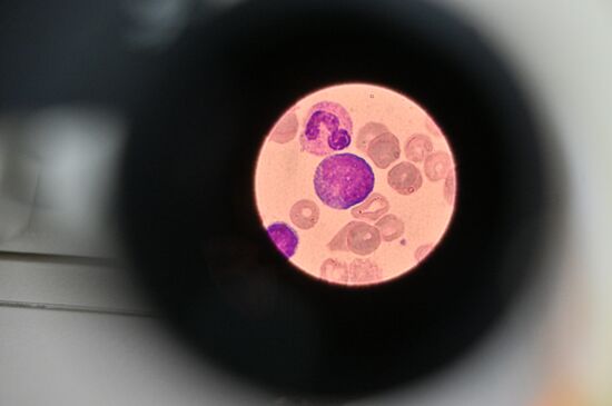 Russia Education Pirogov Medical University