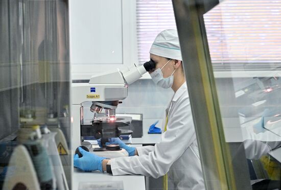 Russia Education Pirogov Medical University