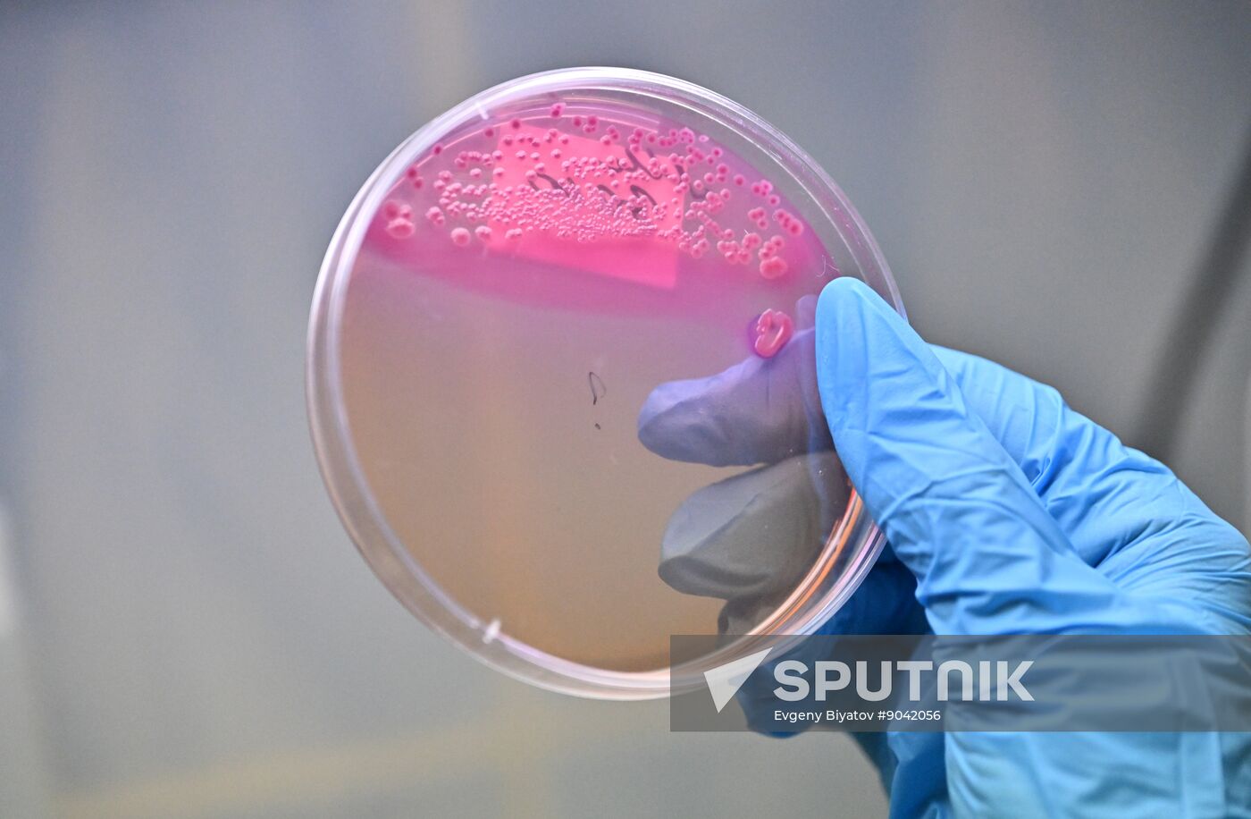 Russia Education Pirogov Medical University