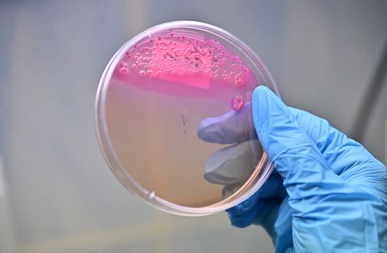 Russia Education Pirogov Medical University