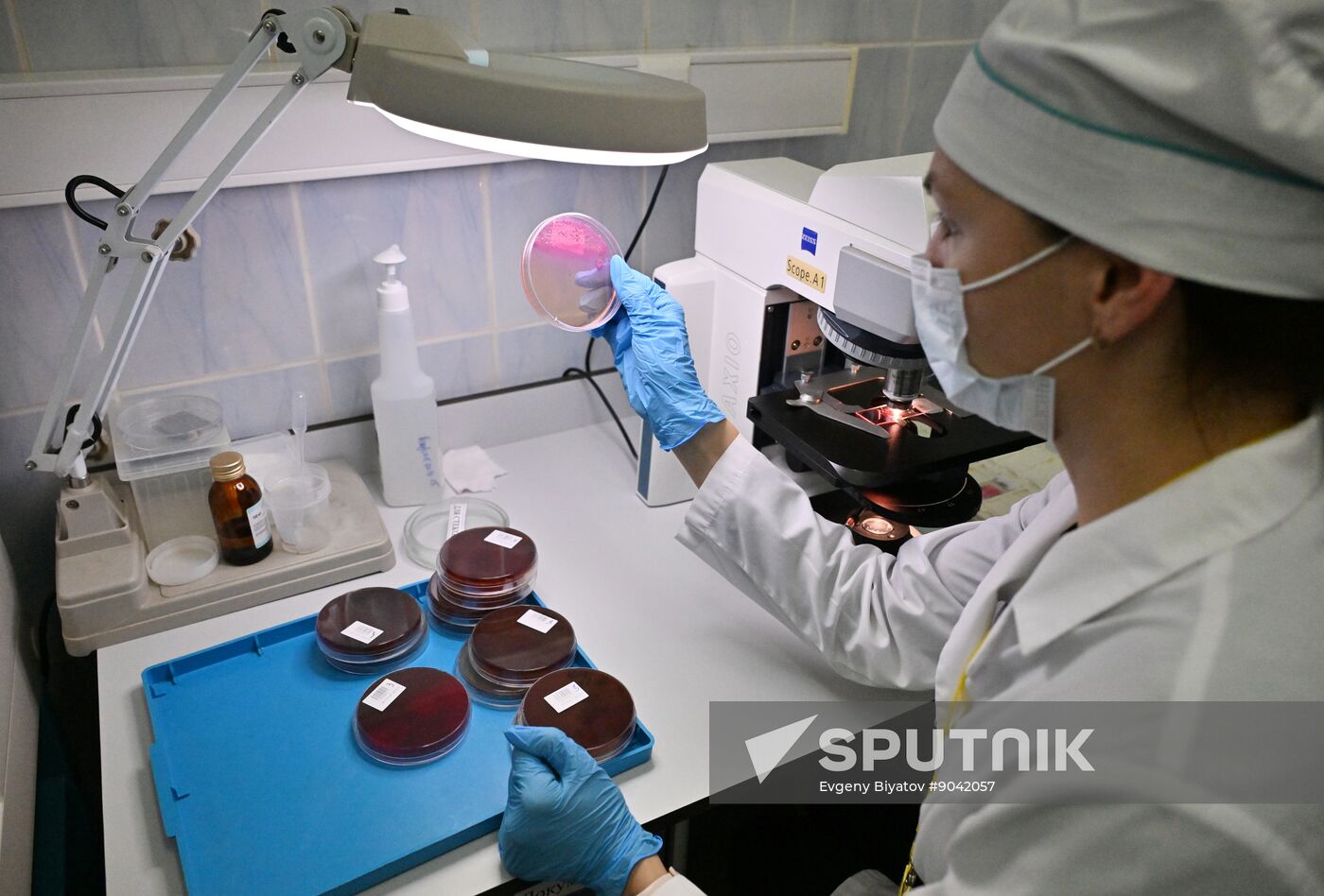 Russia Education Pirogov Medical University