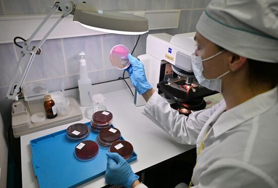 Russia Education Pirogov Medical University