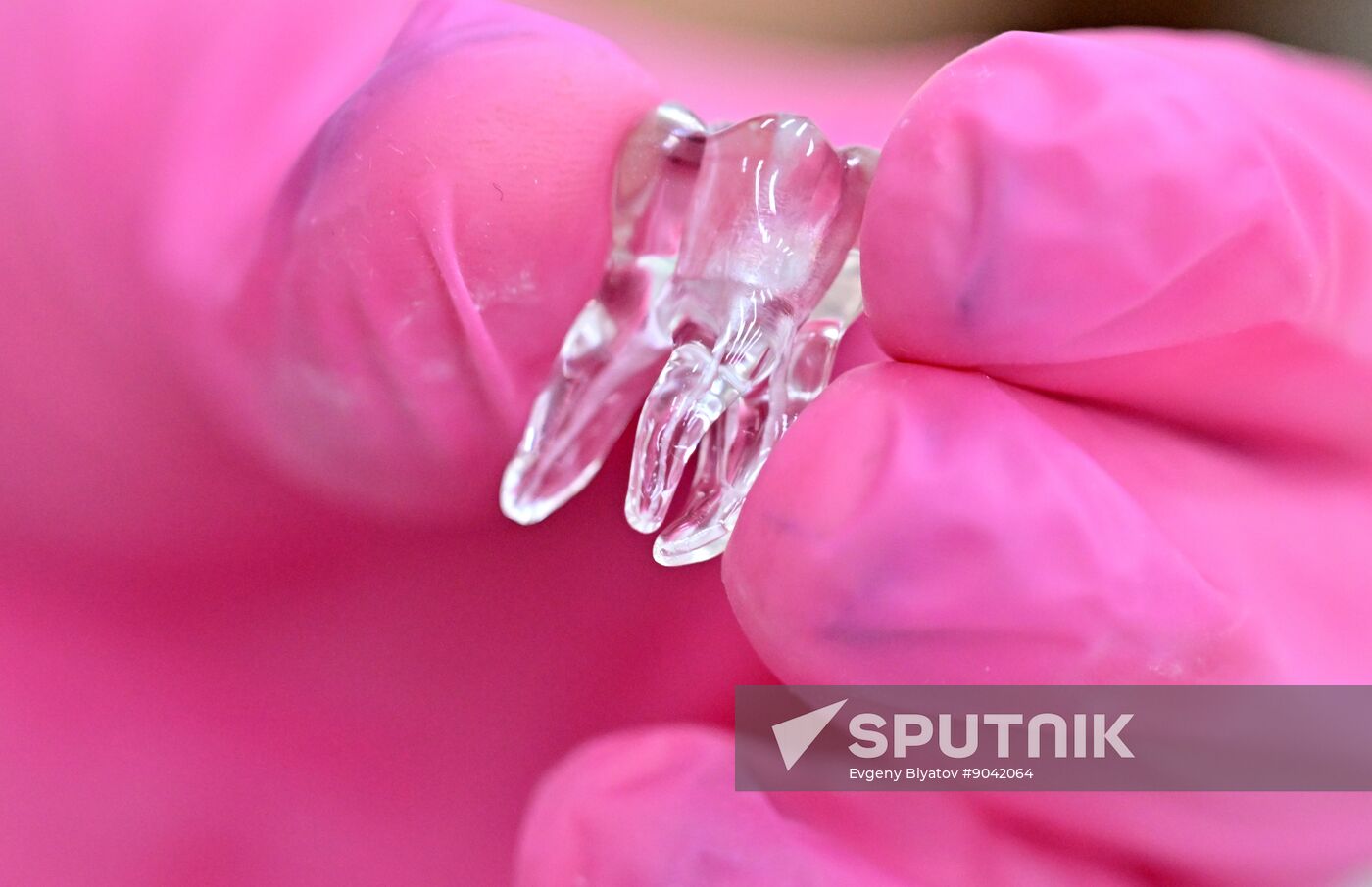 Russia Education Pirogov Medical University