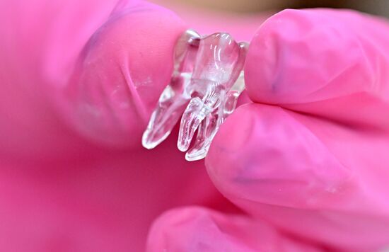 Russia Education Pirogov Medical University