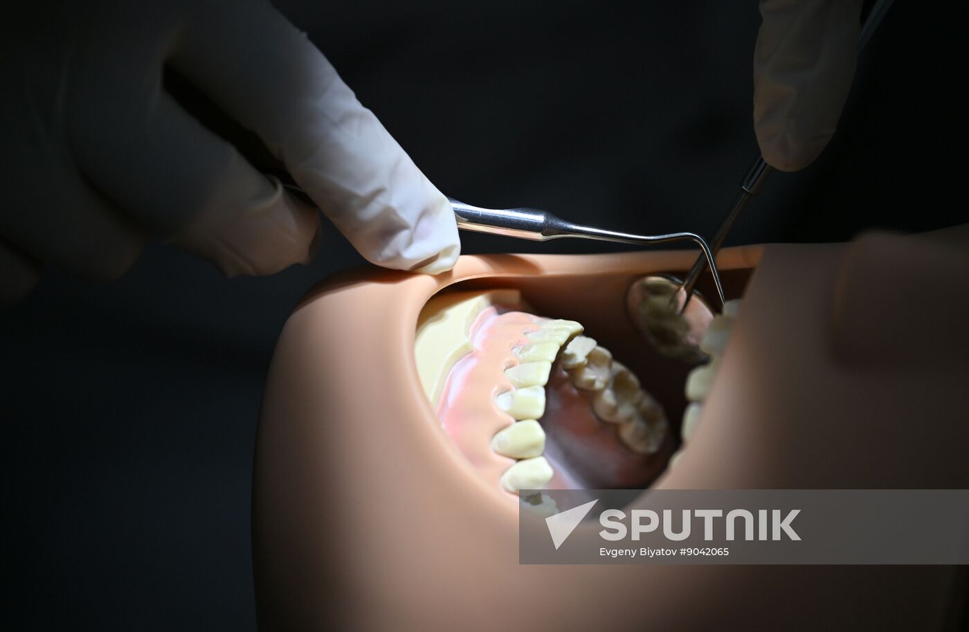 Russia Education Pirogov Medical University