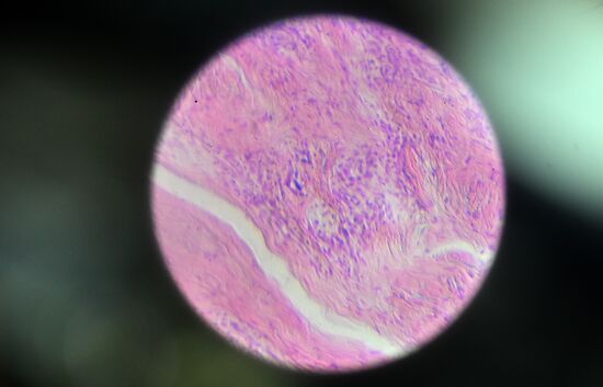 Russia Education Pirogov Medical University