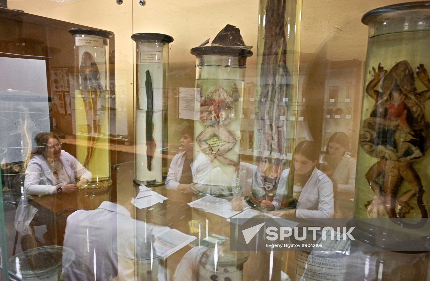 Russia Education Pirogov Medical University