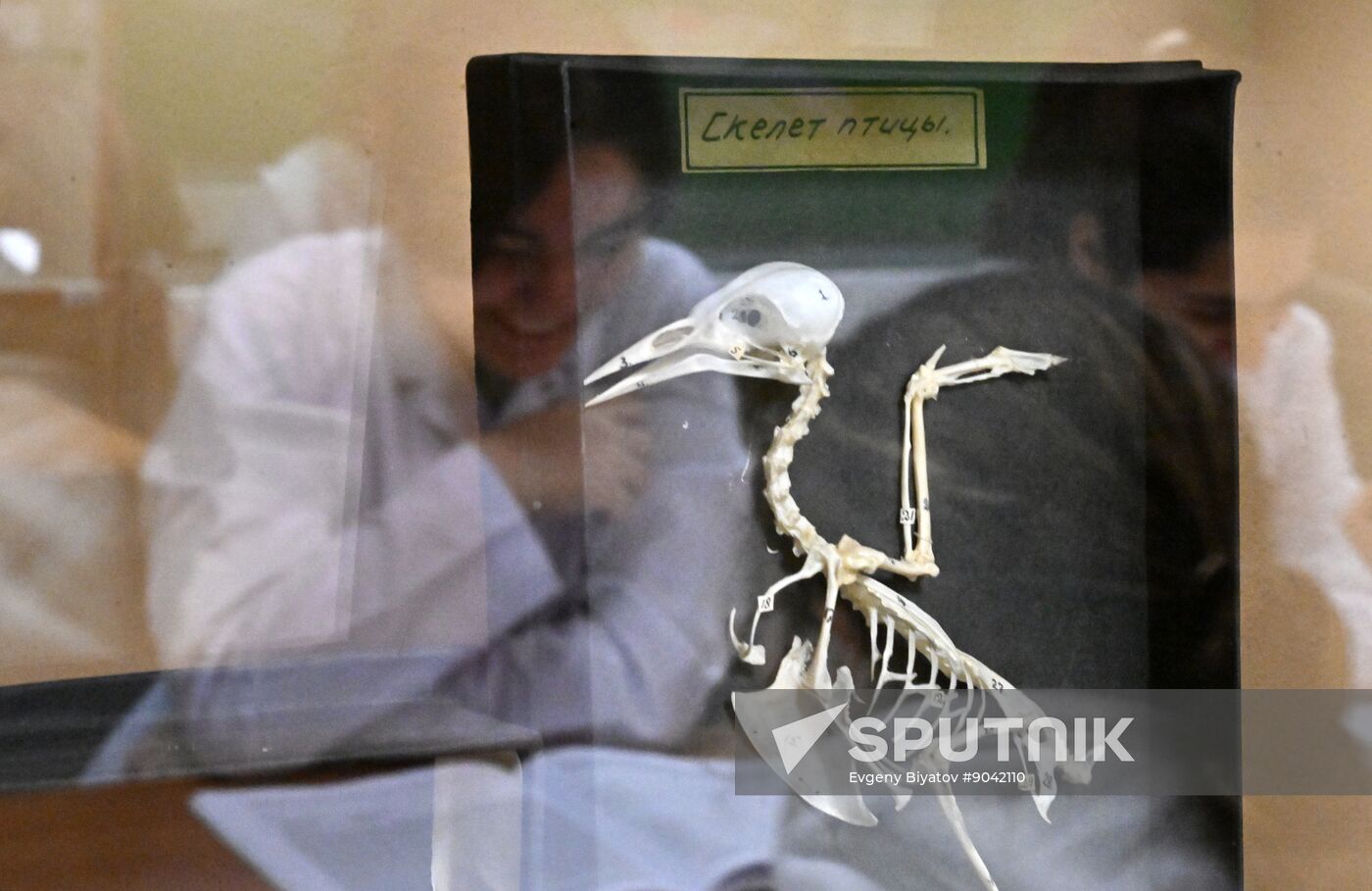 Russia Education Pirogov Medical University