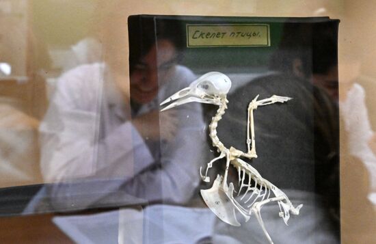 Russia Education Pirogov Medical University