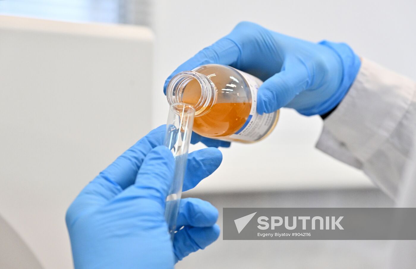 Russia Education Pirogov Medical University