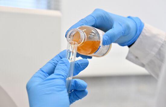 Russia Education Pirogov Medical University